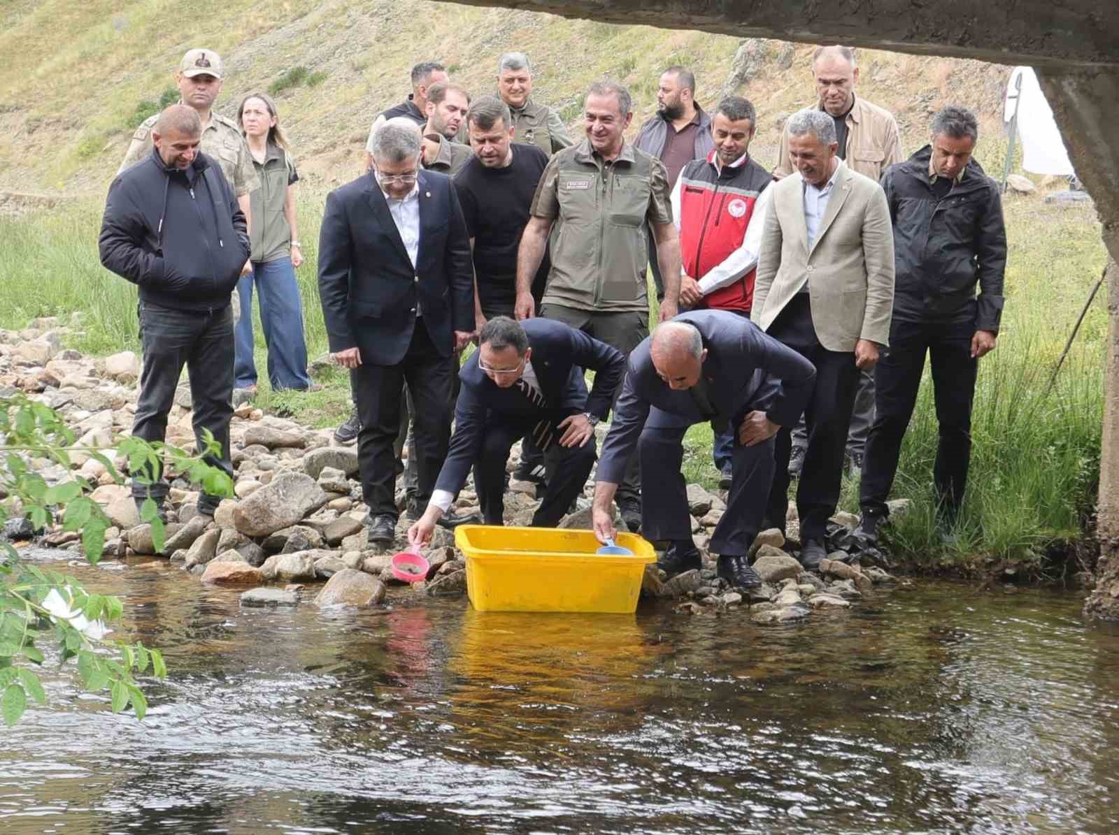 Ordu’da 35 bin doğal alabalık dereye bırakıldı