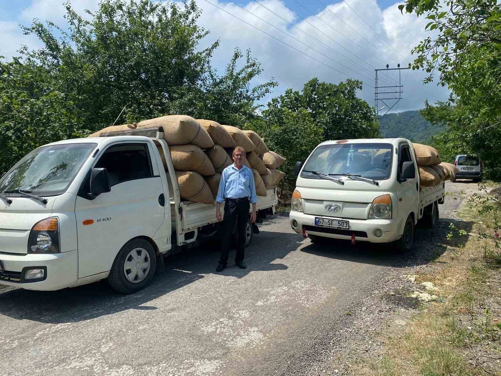 Dalından toplamayın, yere dökülmesini bekleyin