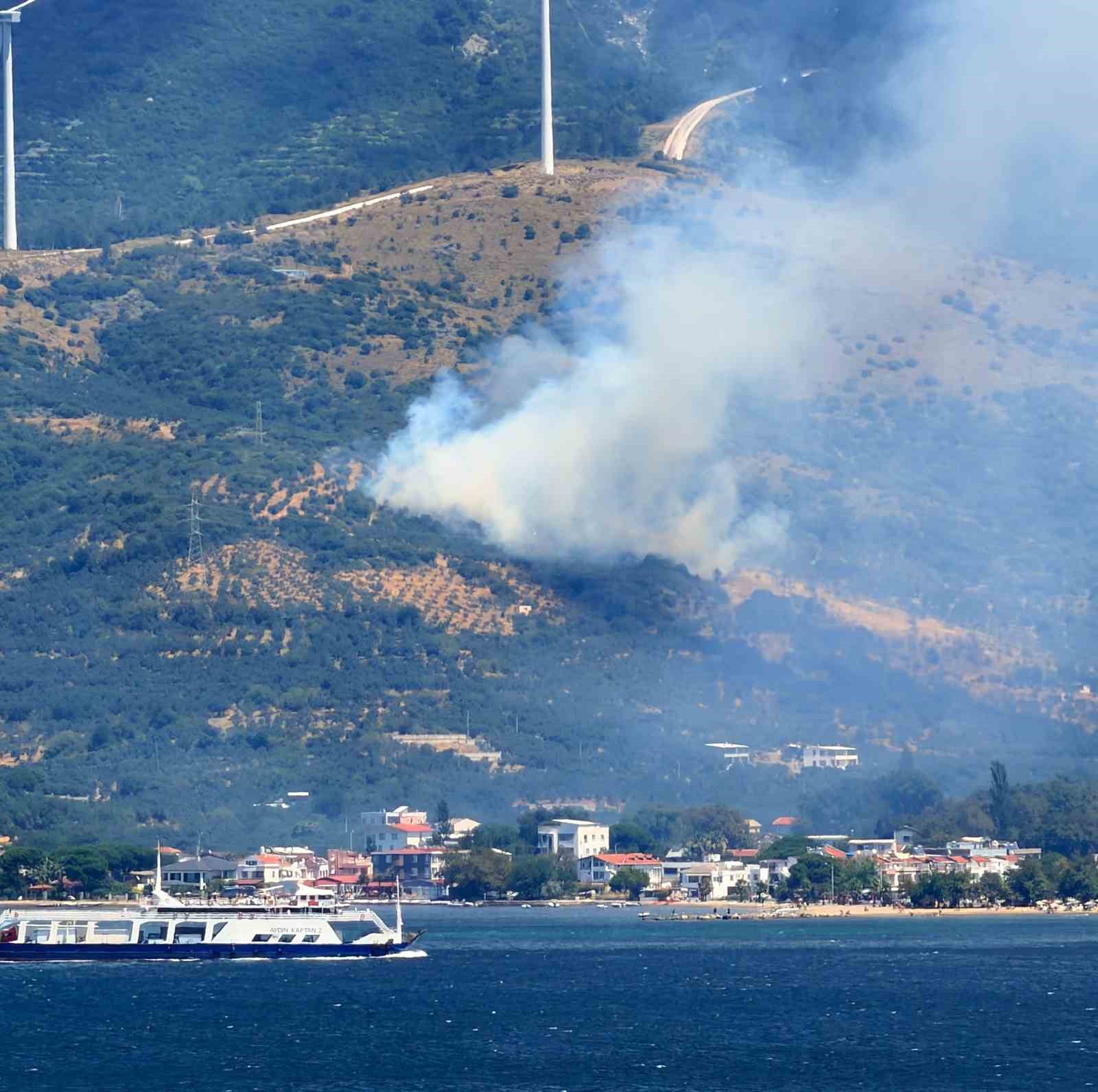 Marmara Adası’nda orman yangını başladı