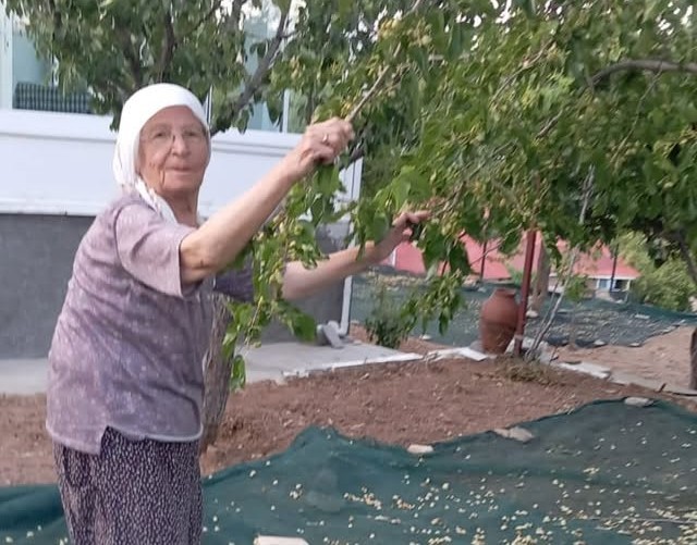 85 yaşındaki çift, dut pekmezi üretimini sürdürüyor