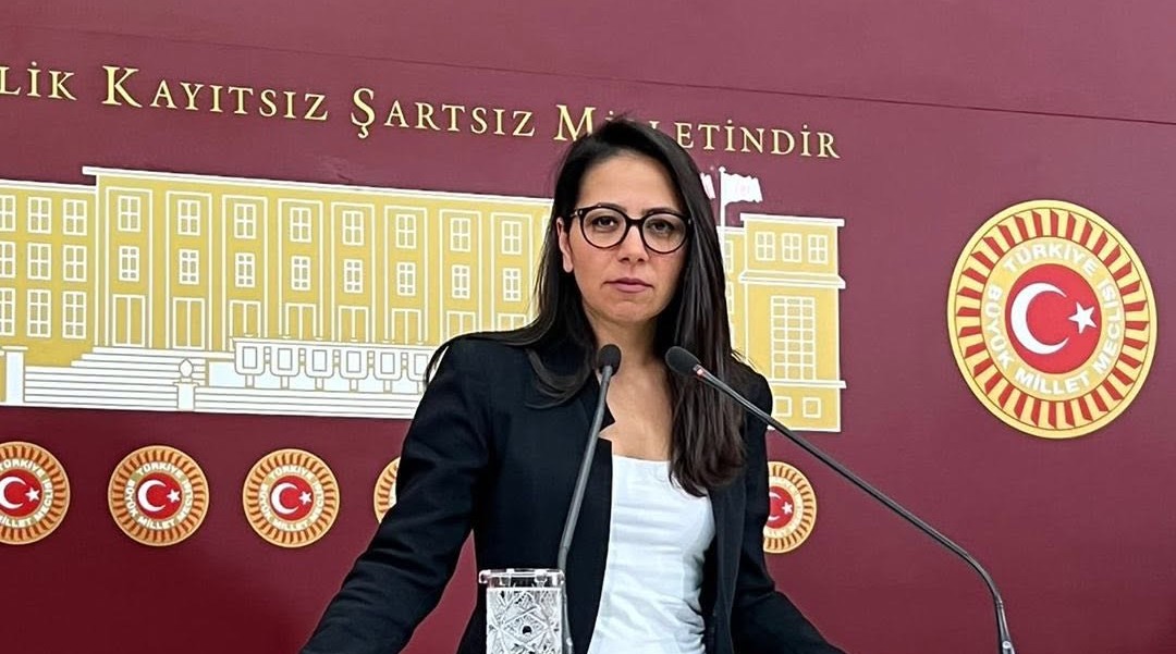 Saliha Sera Kadıgil hakkında re’sen soruşturma
