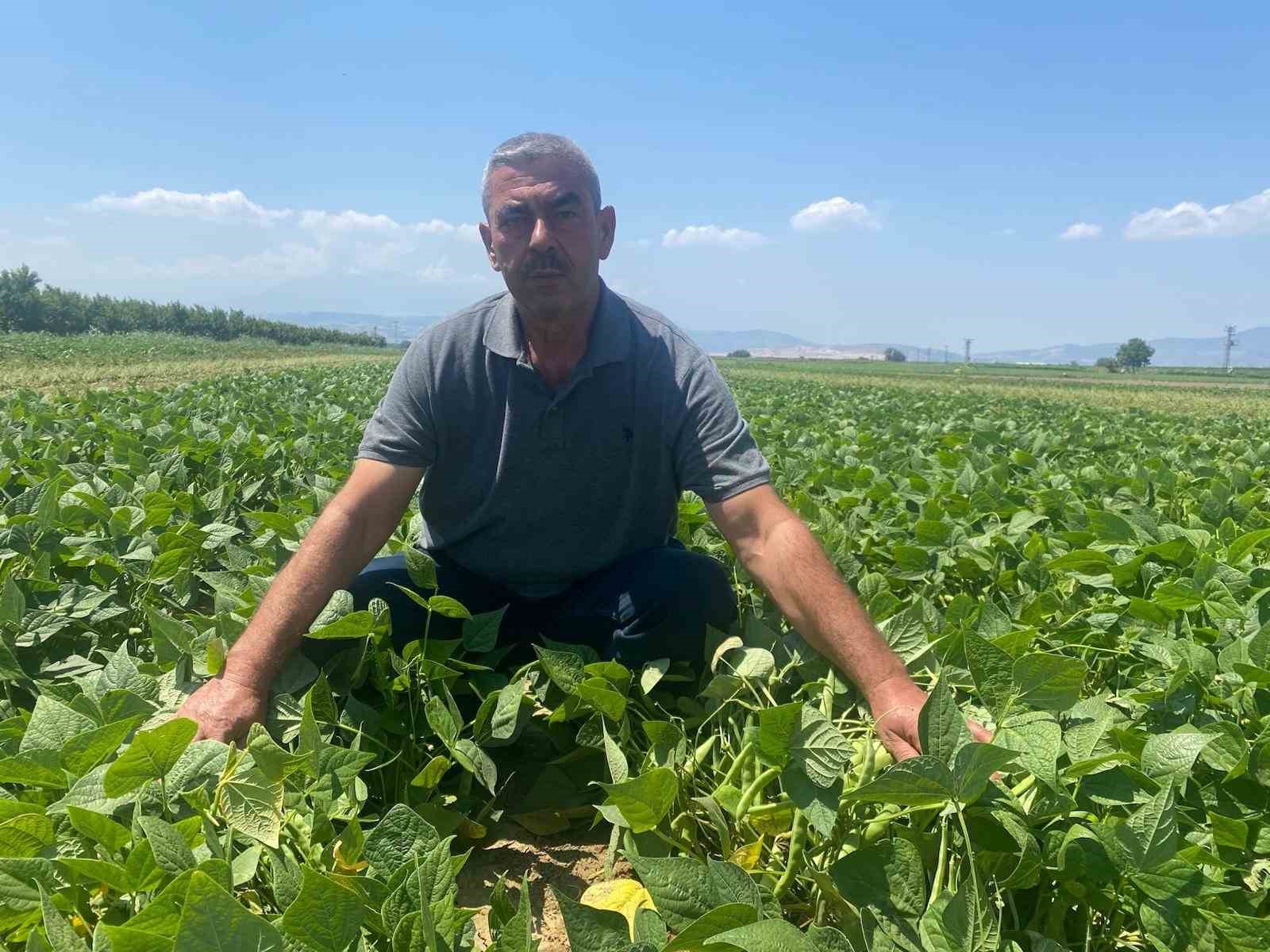 Çiftçi tarlasını hazırlıyor, gerisini kooperatif yapıyor