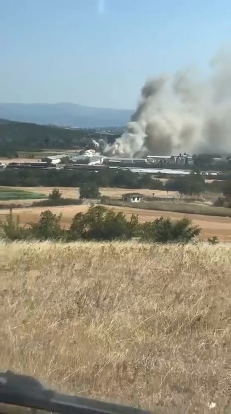 Bursa’da tavuk çiftliğinde yangın