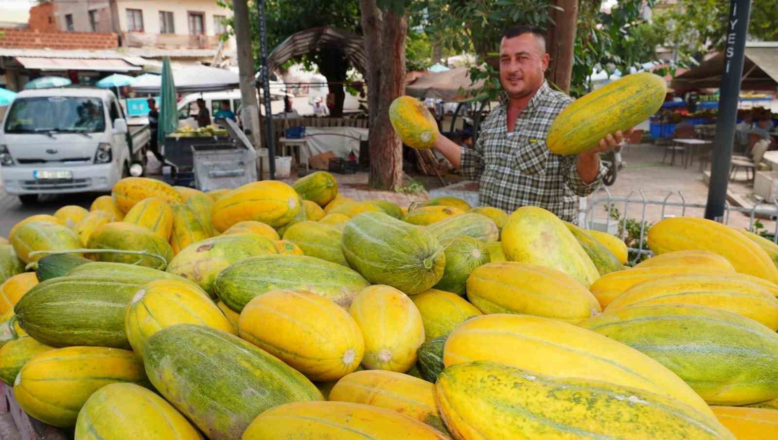 Tavan arasından çıkan tohumların mucizesi