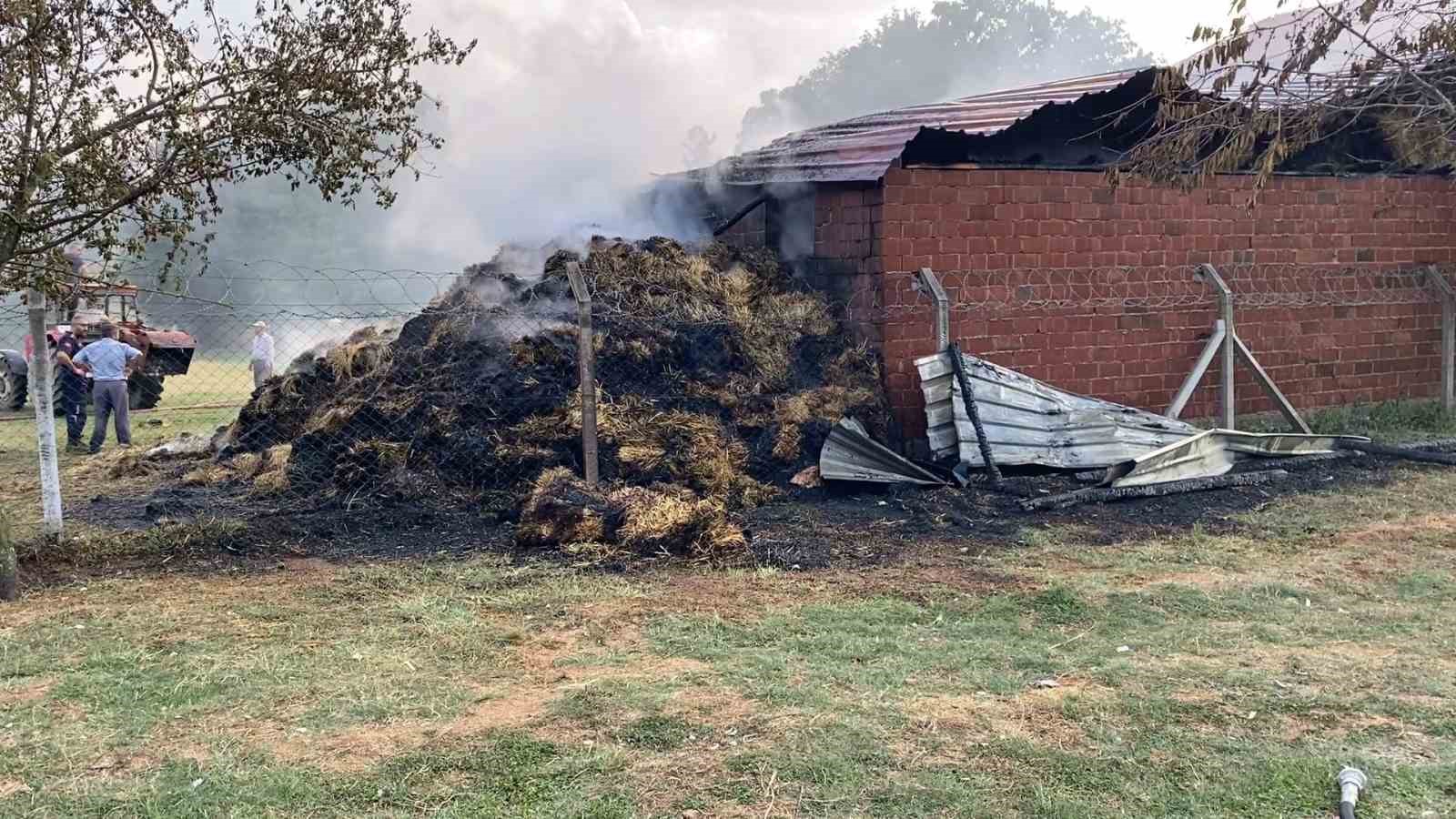 Bursa’da samanlık alevlere teslim oldu