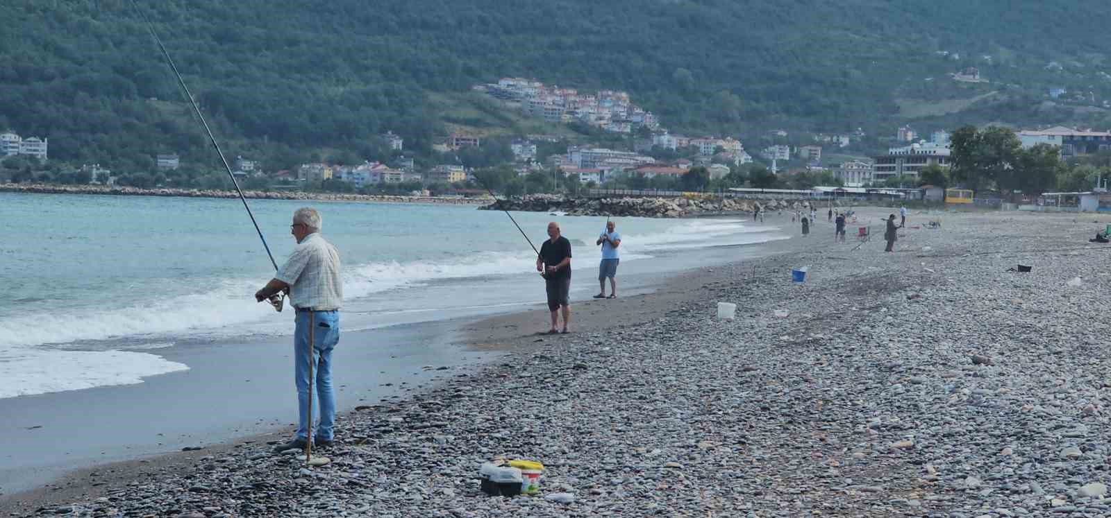 Karadeniz’de balık bolluğu yaşanıyor