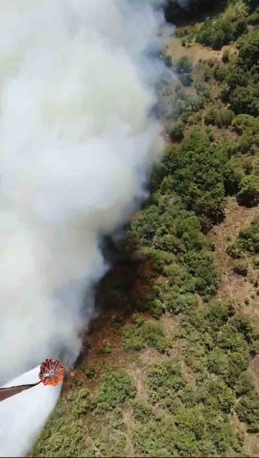 Bursa’da bir orman yangını daha