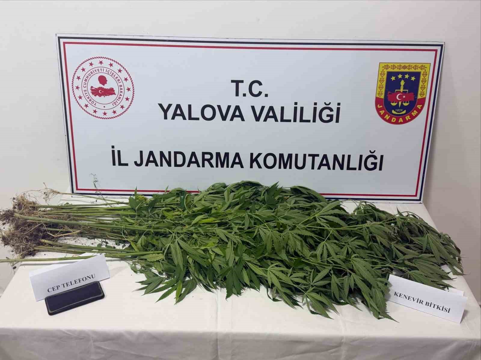 Yalova’da uyuşturucu operasyonu: 3 gözaltı