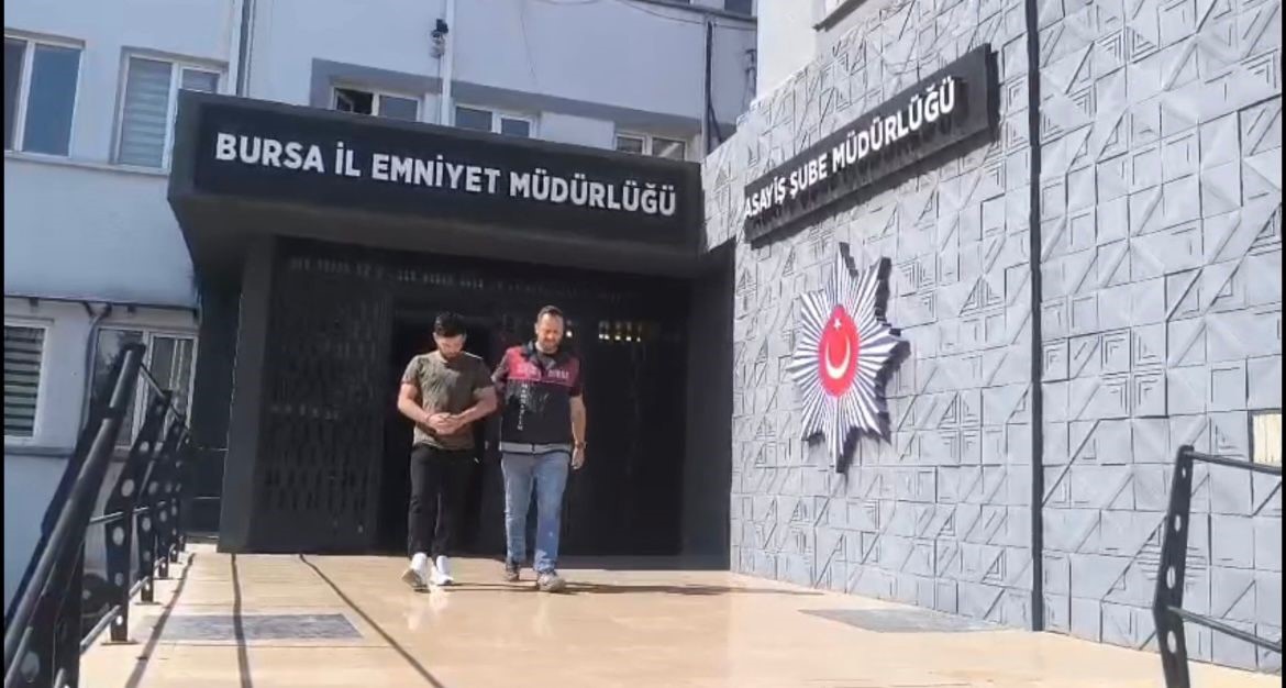 İnşaat farelerini böyle çözdüler