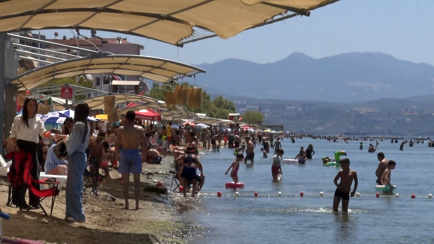 Bursa’nın sahillerinden sevindiren haber