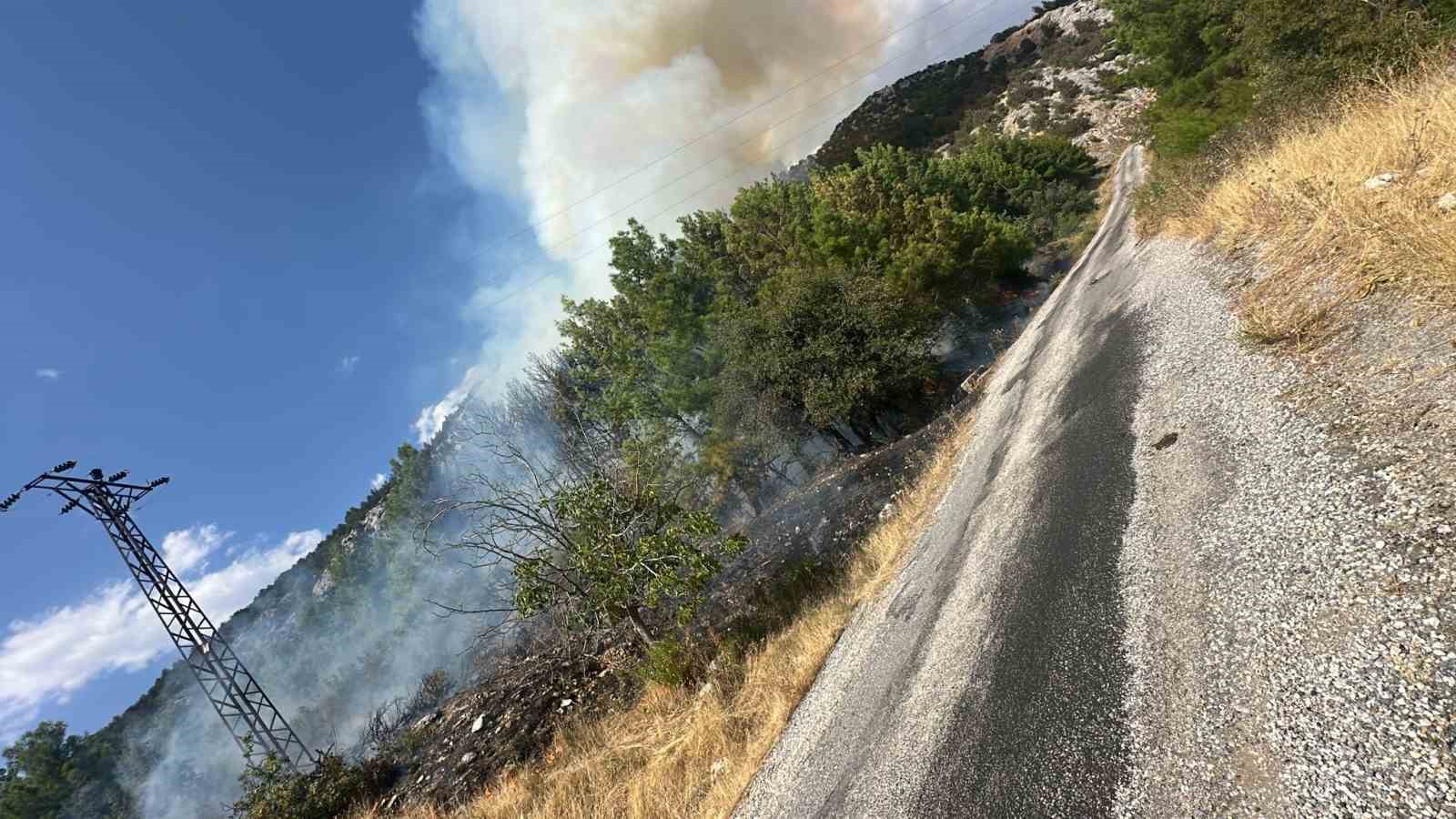 Antalya Akseki’de orman yangını