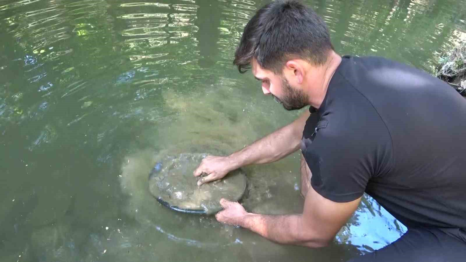 Derelerde her gün 5 gram altın çıkarıyorlar