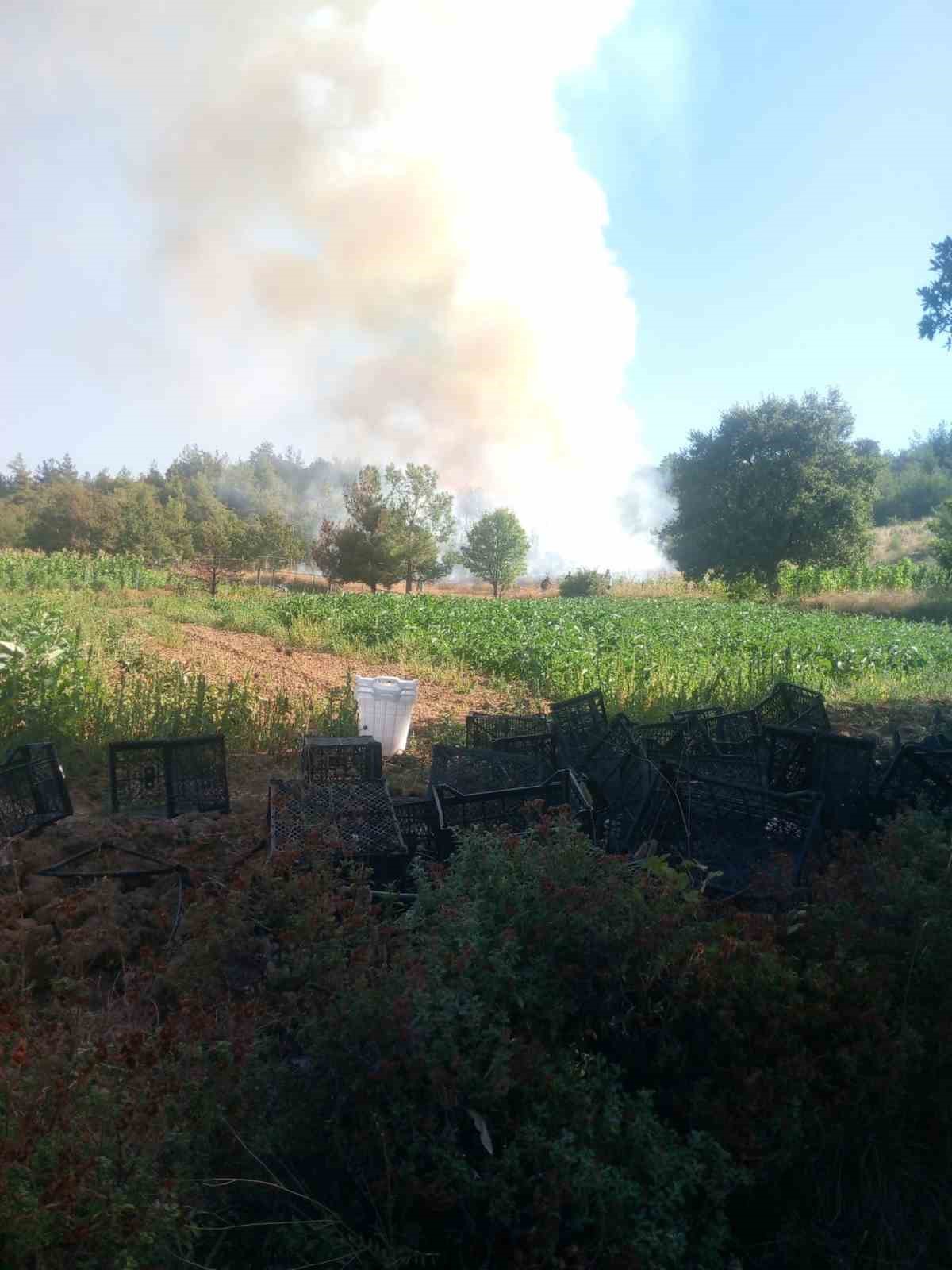 Kestel'de orman yangınına müdahale başladı