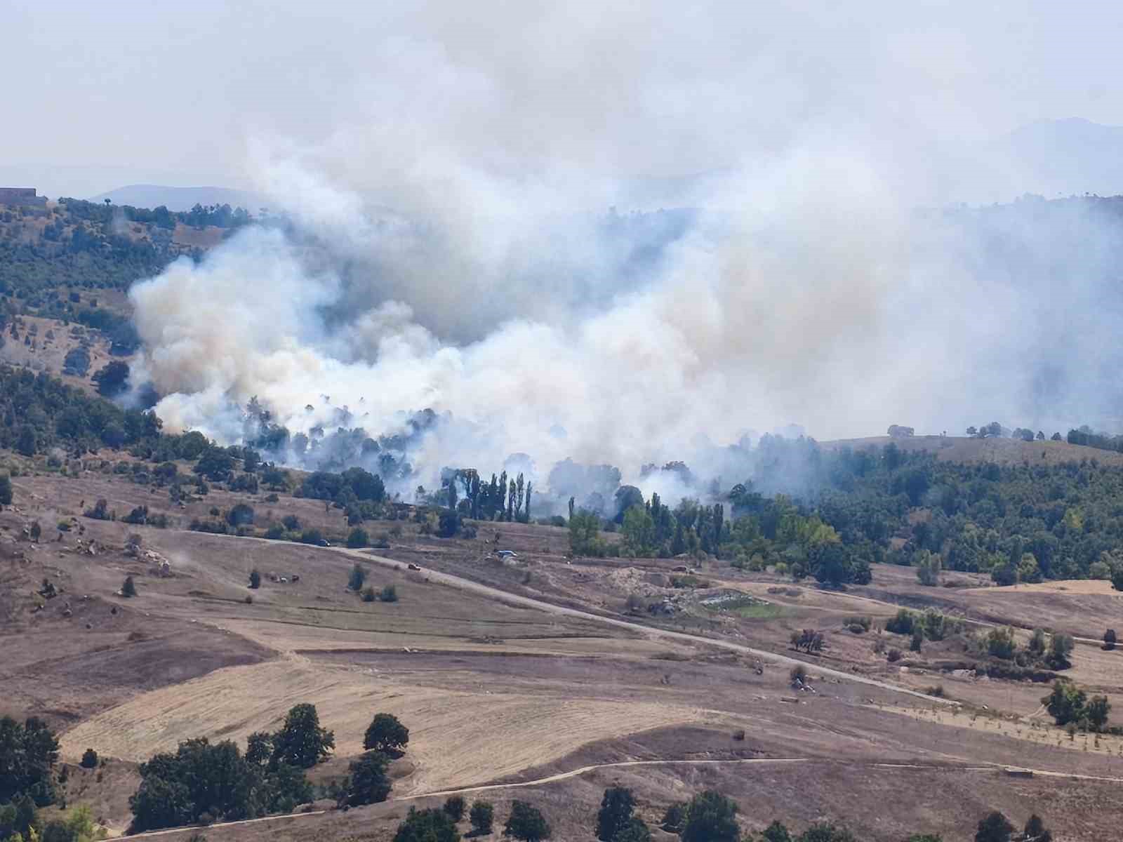 Orhaneli Yakuplar'da orman yangını