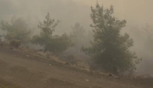 Bursa itfaiyesi Kumluca’da soğutma çalışmalarını sürdürüyor