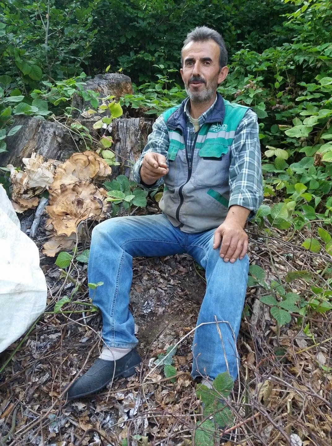 Sinop’ta traktör devrildi, orman işçisi hayatını kaybetti