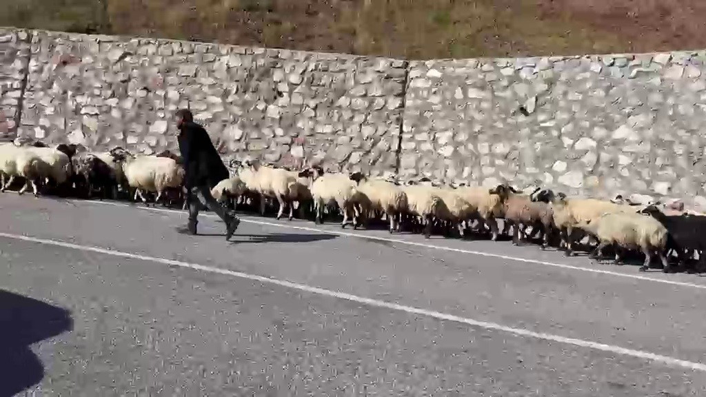 Erzurum’da göçerlerin zorlu "Kışa dönüş" mesaisi başladı