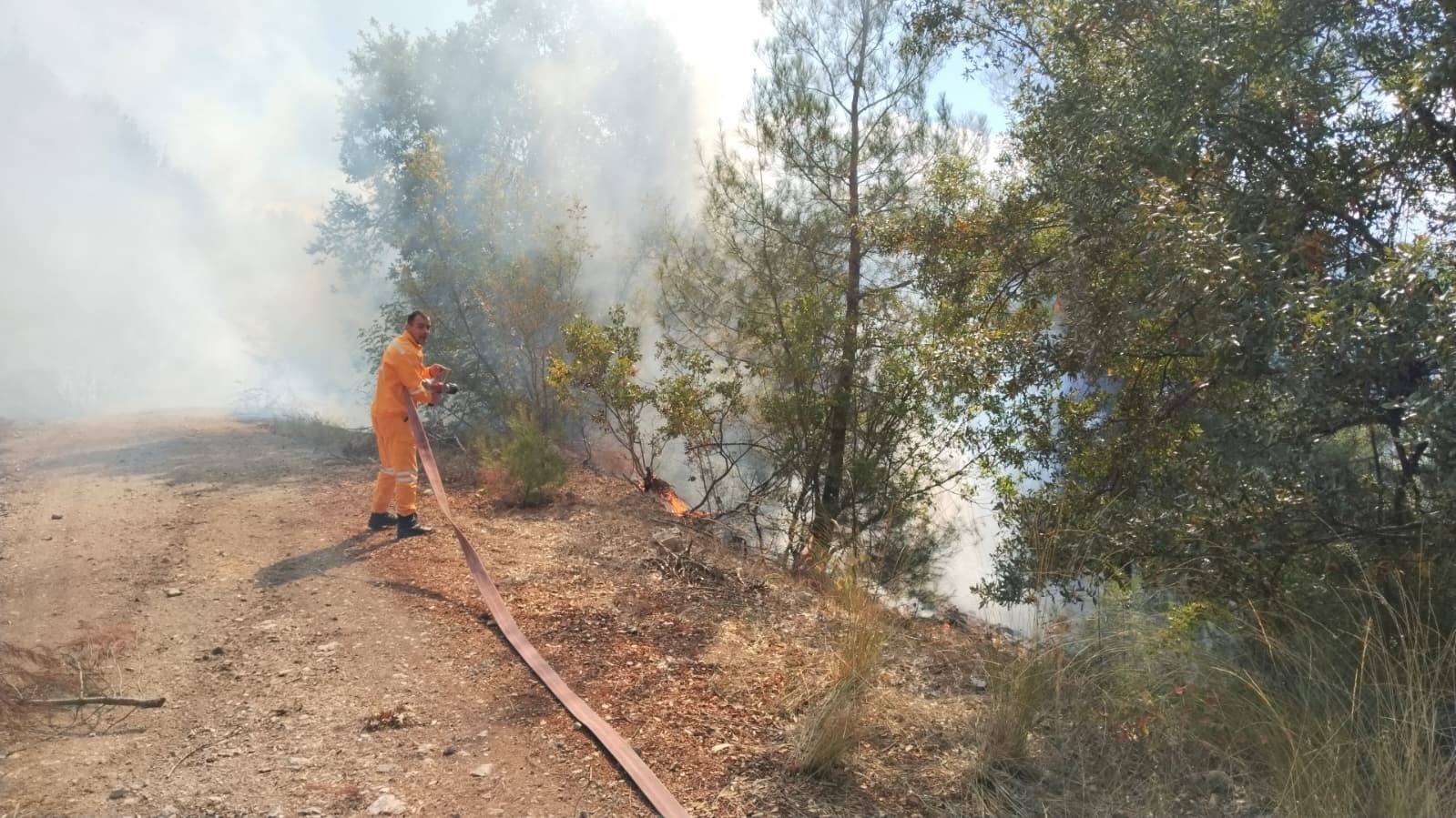 Bursa'da orman yangınına müdahale ediliyor