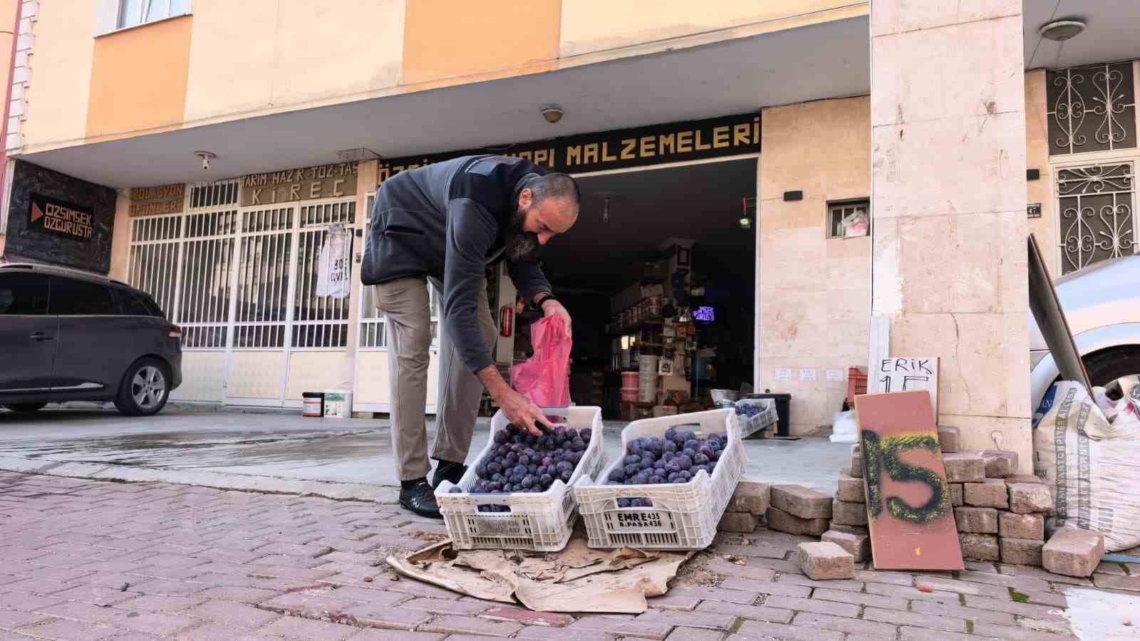 İnegöllü çiftçi erikleri çöpe atmadı fenomen oldu