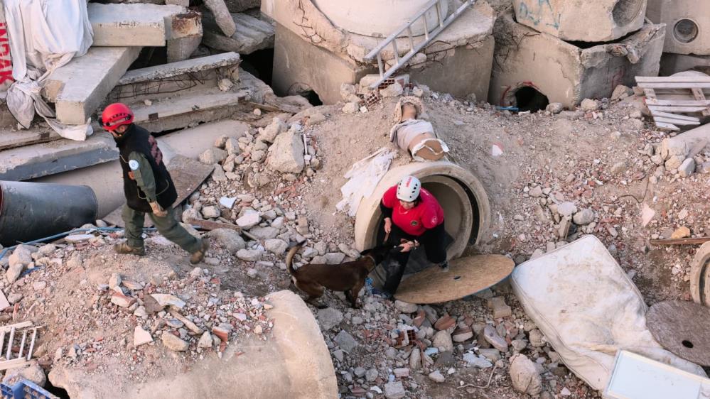 İnegöl’de K9’lara hayat kurtaran eğitim