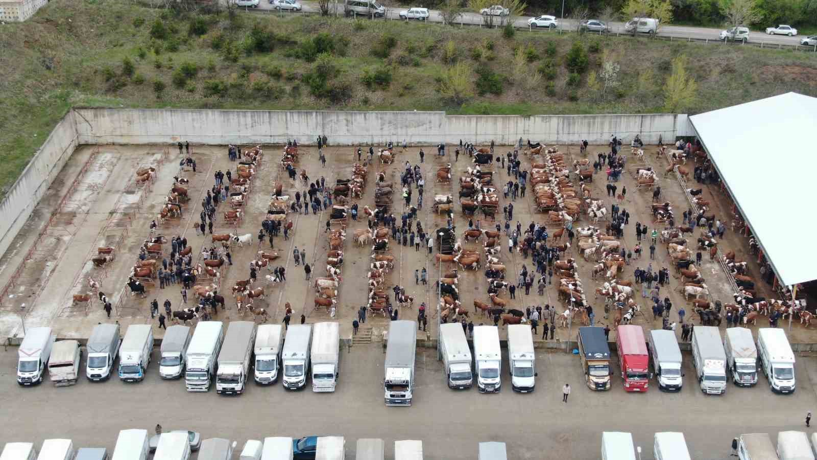 Kastamonu’da canlı hayvan pazarları kapatıldı
