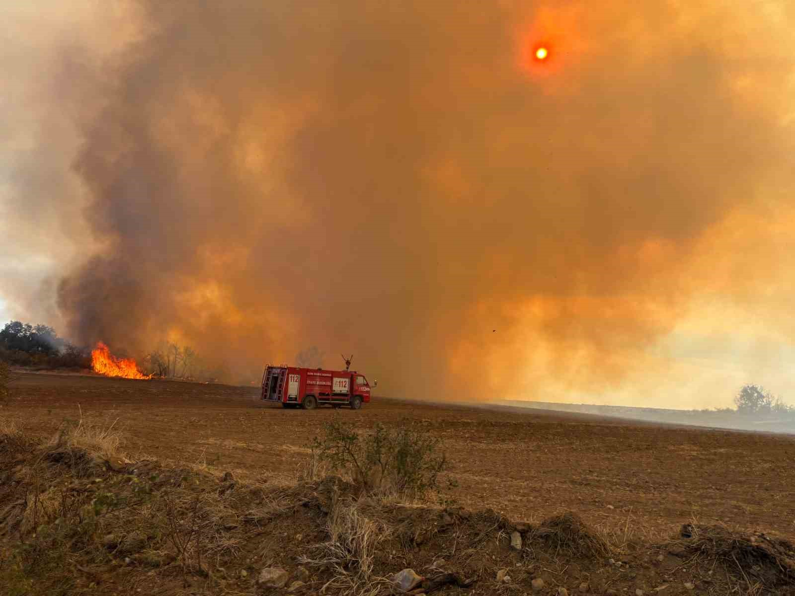 Kaplumbağalar ve yabani hayvanlar da etkilendi