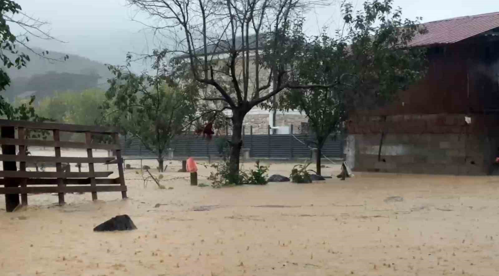 Sakarya’da sel bir mahalleyi sulara gömdü