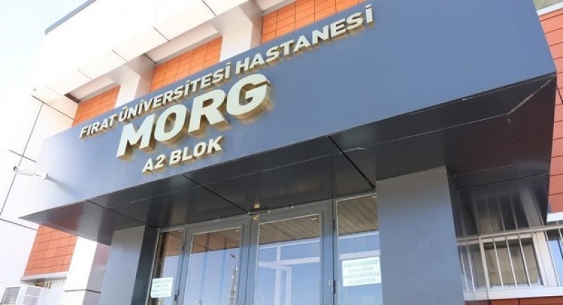 26 yaşındaki genç evinde ölü bulundu