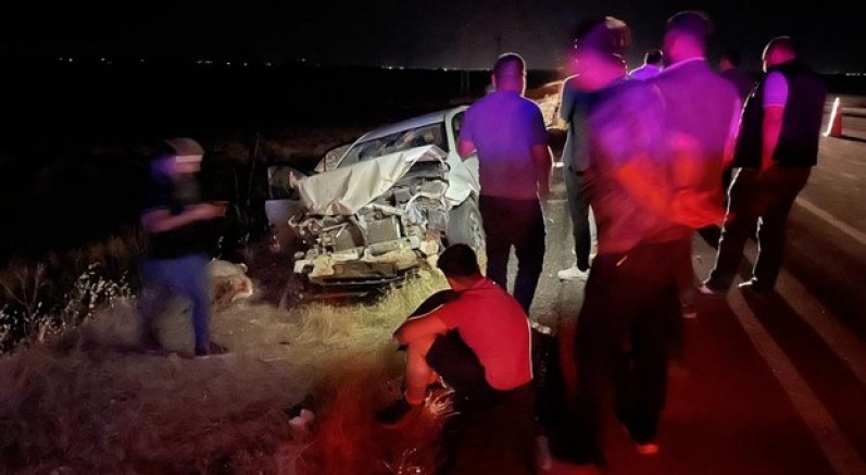 3 kişi yaralandı, 11 koyun telef oldu