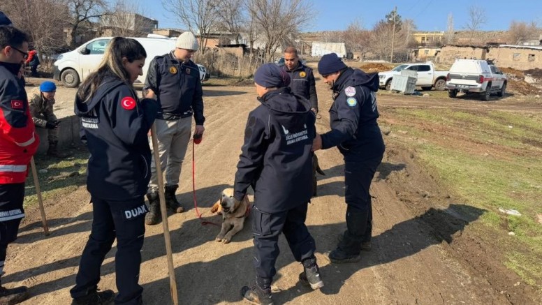 379 kişi kayıp kadını arıyor