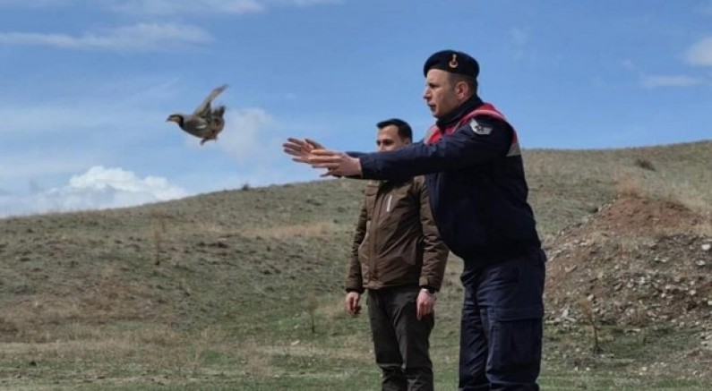 51 keklik doğaya kazandırıldı