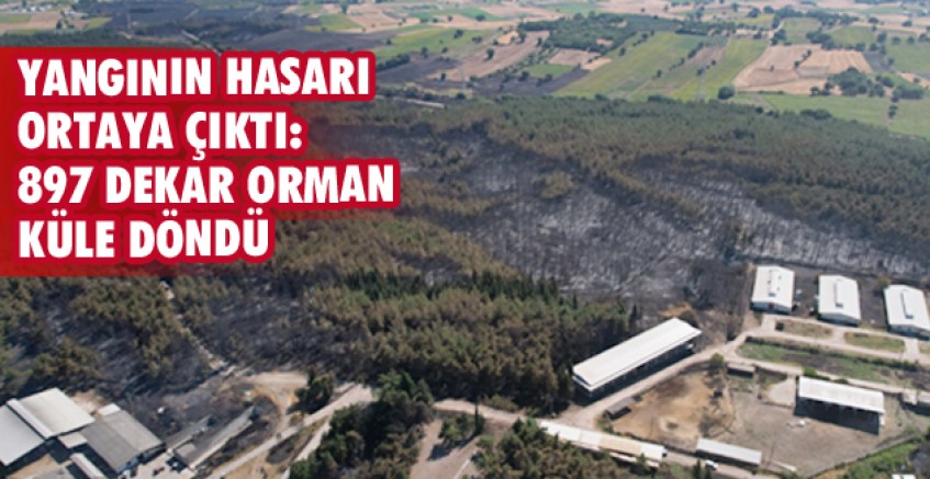 897 dekar orman ve biçilmiş alan küle döndü