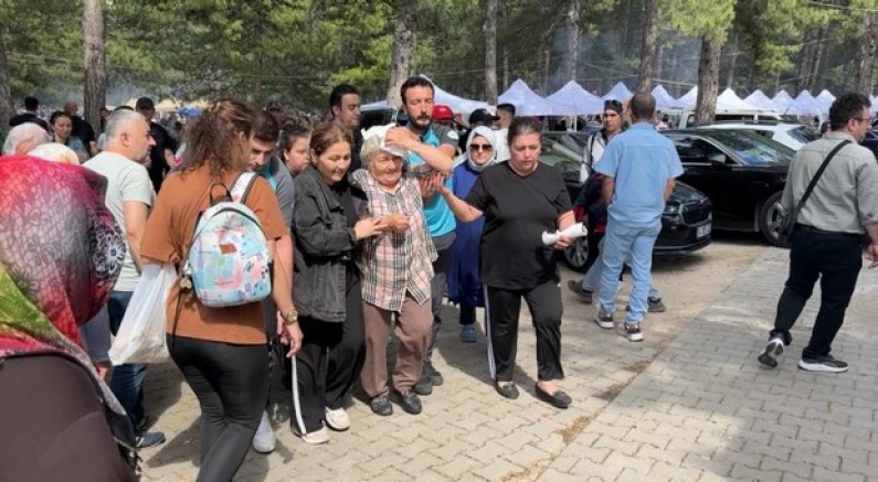 Ağaçtan düşen dal yaşlı kadını yaraladı