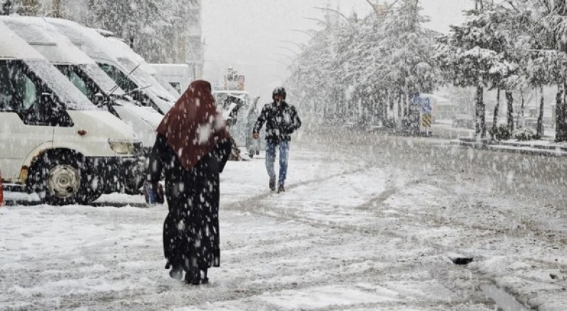 Ahlat’ta nisan karı etkili oldu