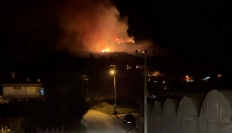 Antalya'da orman yangını