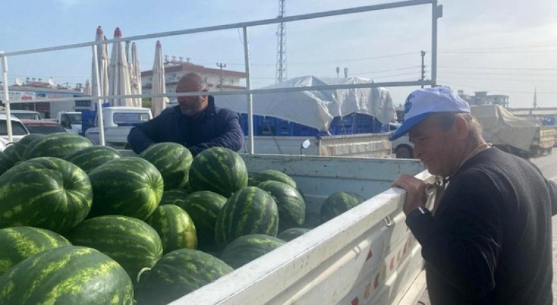 Antalya'da sezonun ilk karpuz hasadı yapıldı