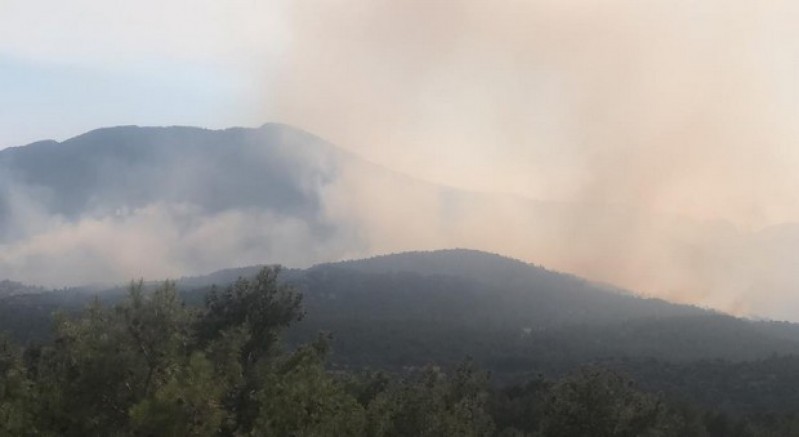 Antalya'daki orman yangınına müdahale sürüyor