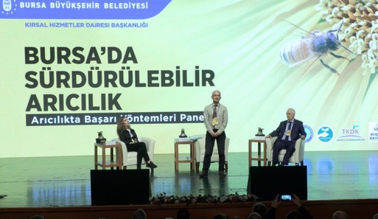 Arıcılıkta başarı yöntemleri