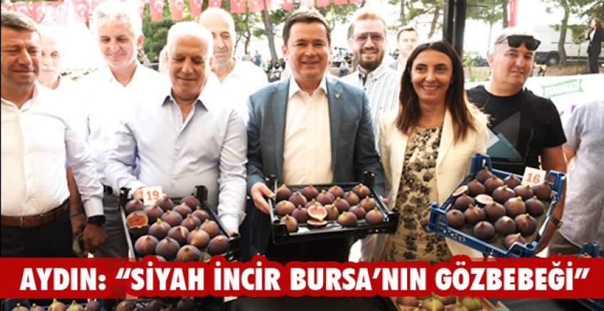 Aydın: “Siyah incir Bursa’nın gözbebeği”