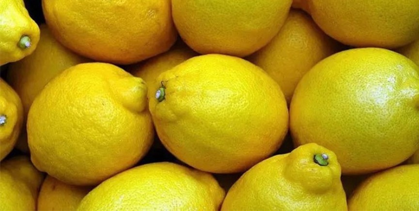 Bakanlık limon ihracatı durdurdu!