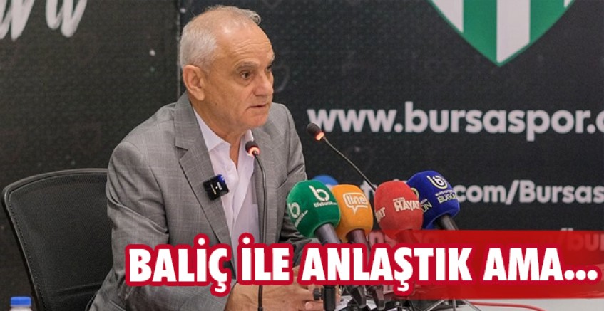 'Baliç ile anlaştık ama... '