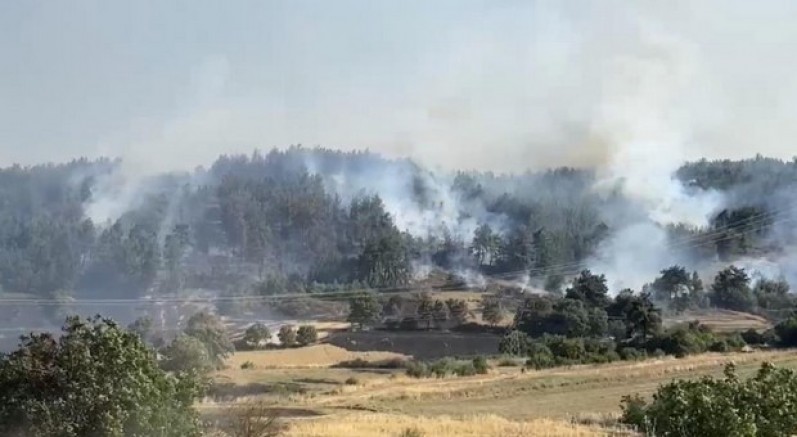 Balıkesir'de orman yangınına müdahale sürüyor
