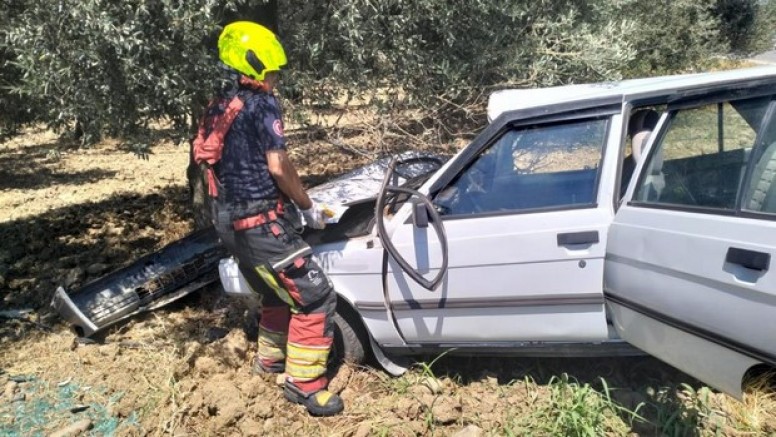 Balıkesir’de otomobil zeytin ağacına çarptı: 2 yaralı