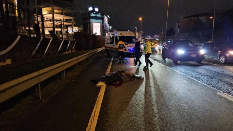 Bariyerlere çarparak hayatını kaybetti