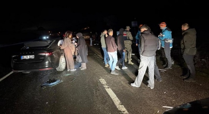 Bingöl'de otomobil ata çarptı: 4 yaralı