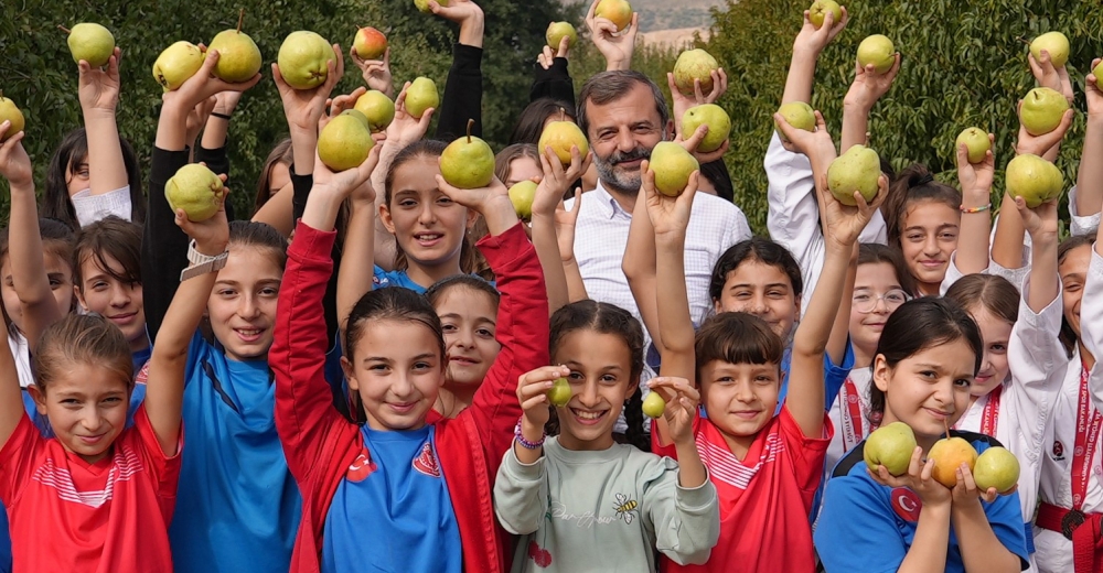 'Bizim elimiz sadece armut toplamaya kalkar'