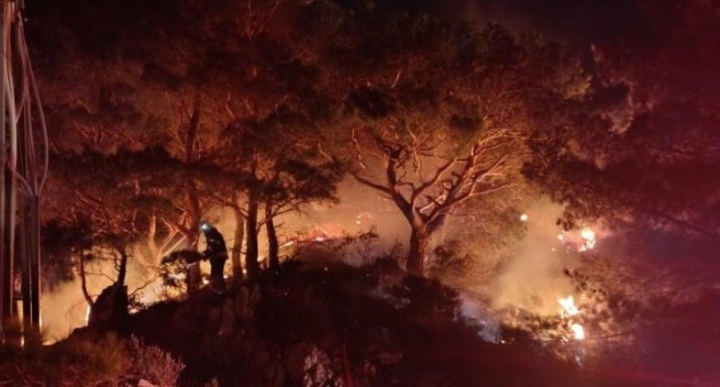Bodrum'da ormanlık alanda yangın