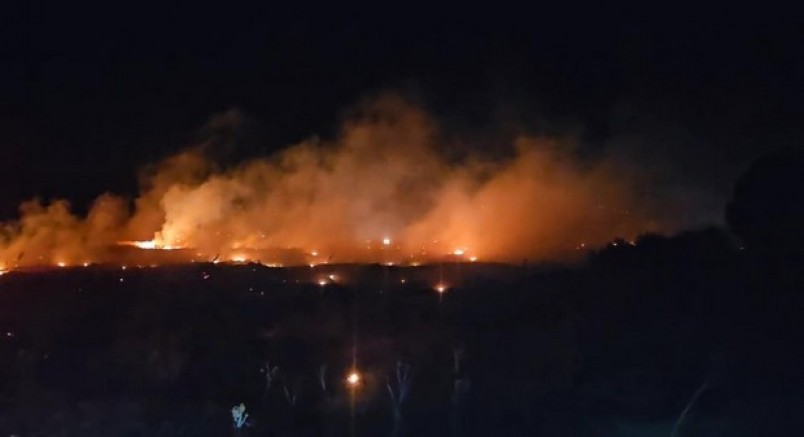 Burhaniye'de korkutan örtü yangını