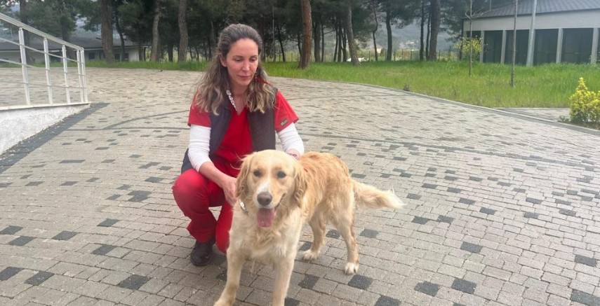 Bursa Büyükşehir, bayramda da can dostların yanında