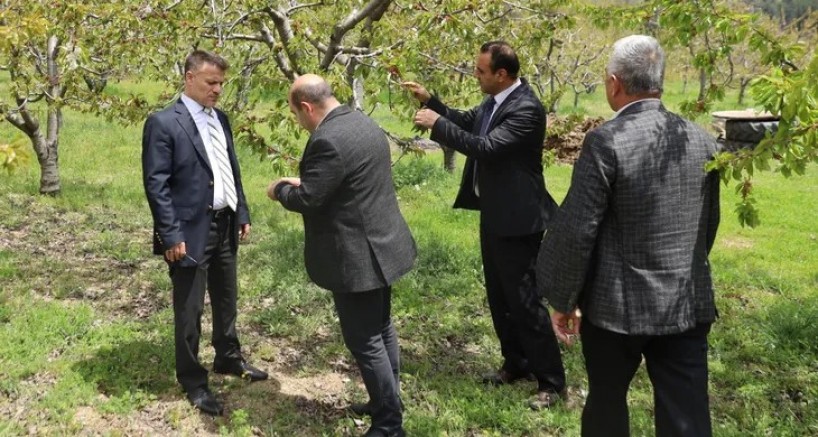 Bursa Büyükşehir zirai don mağduru çiftçinin yanında